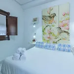 Mayflowers 科爾多瓦