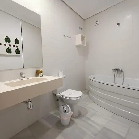 Vandrerhjem Mayflowers