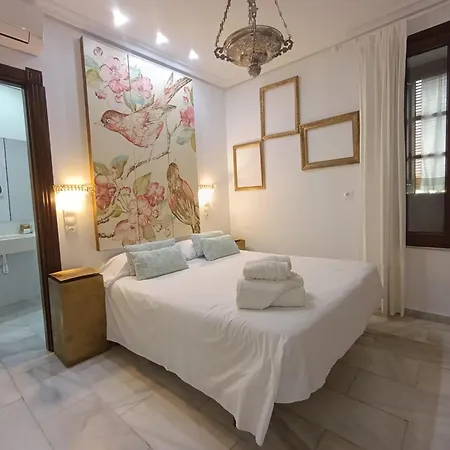 Vandrerhjem Mayflowers Córdoba