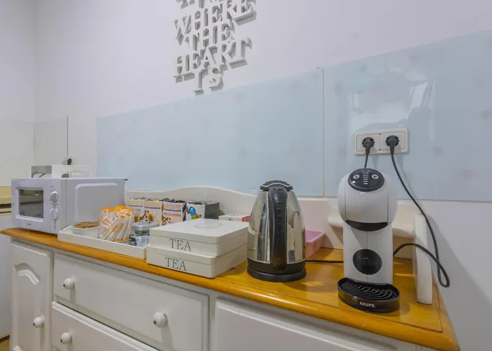 Vandrerhjem Mayflowers